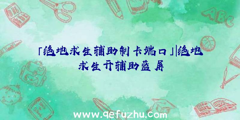 「绝地求生辅助制卡端口」|绝地求生开辅助蓝屏